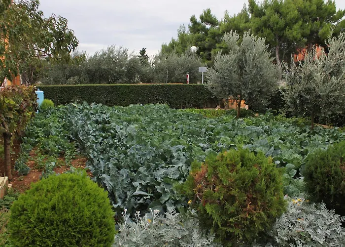 - Mulo 5796a 公寓 *