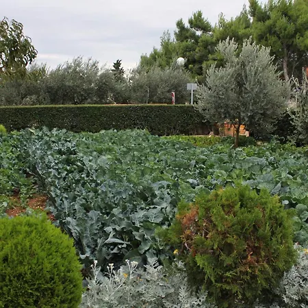 - Mulo 5796a Appartement *