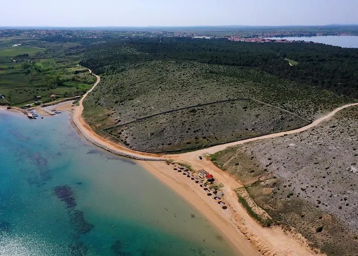 - Mulo 5796a Врси